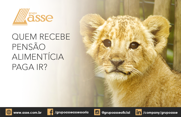 Quem recebe pensão alimentícia paga IR?